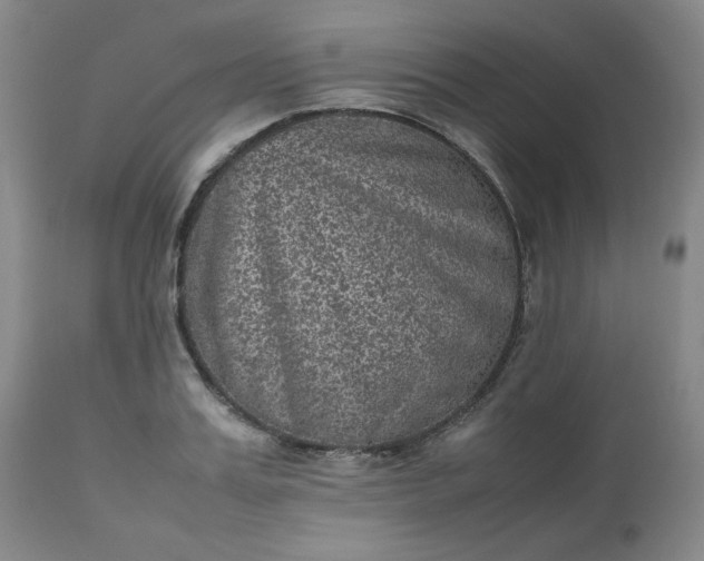 X0000112510987200908311328