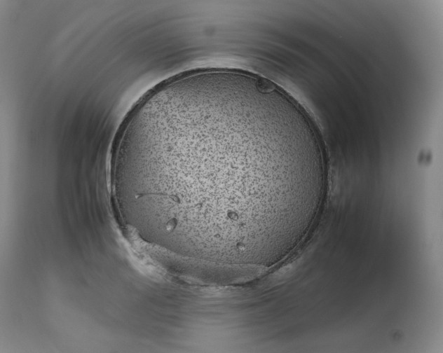 X0000112510988200908311328