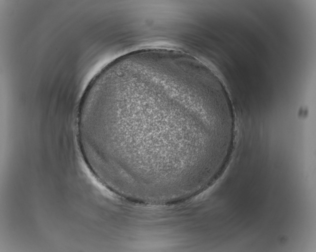 X0000112510989200908311328