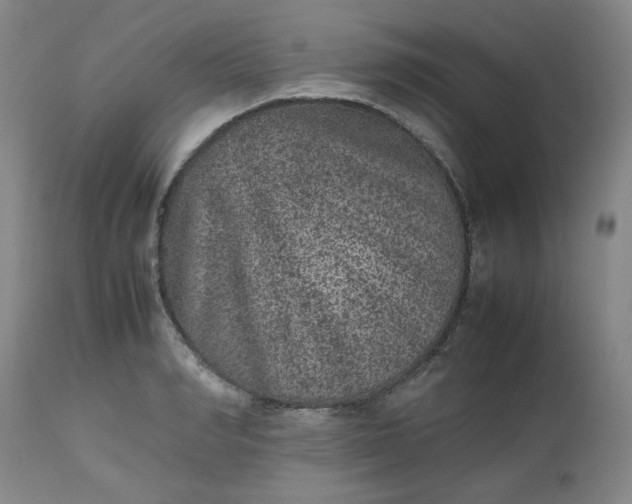 X0000112510990200908311328