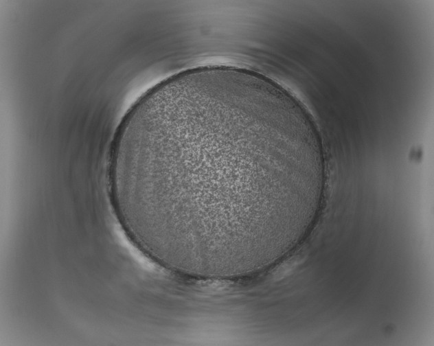 X0000112510991200908311328