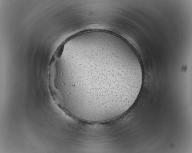 X0000112510992200908311328