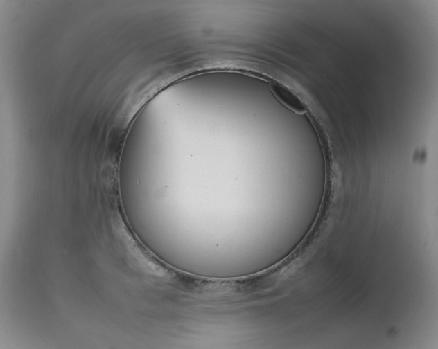 X0000112510993200908311328