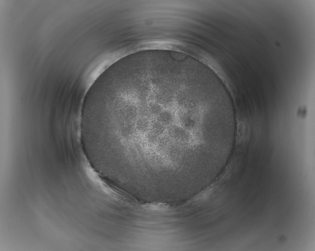 X0000112510994200908311328