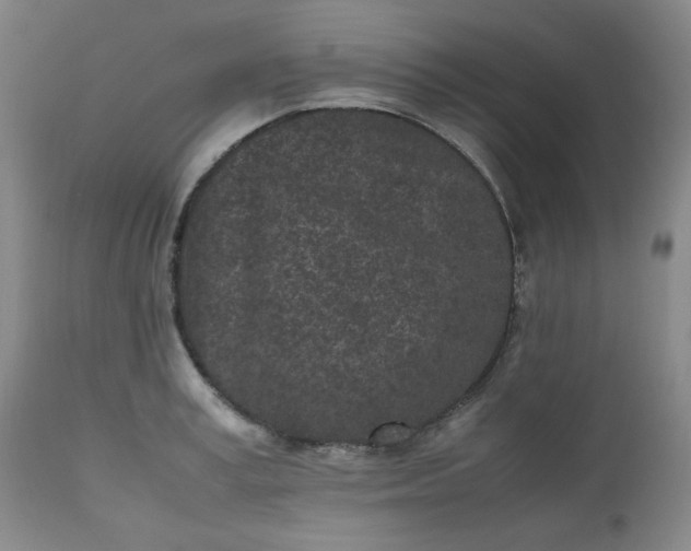 X0000112510995200908311328