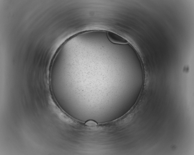 X0000112510996200908311328