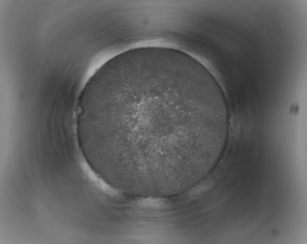 X0000112510998200908311328