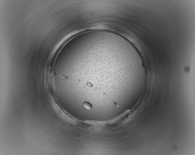 X0000112511000200908311328