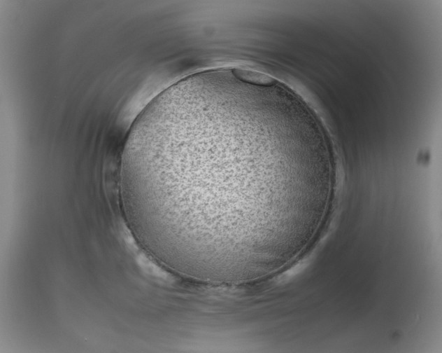 X0000112511001200908311328