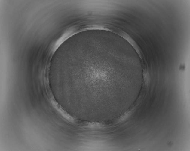 X0000112511002200908311328