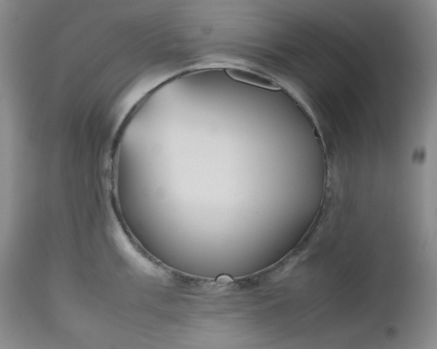 X0000112511003200908311328