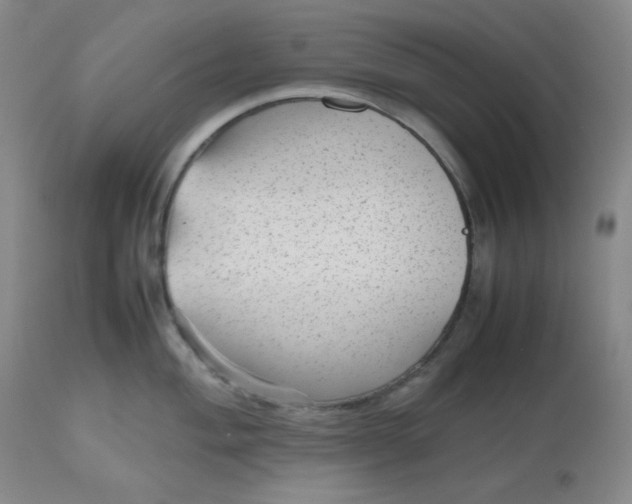 X0000112511004200908311328