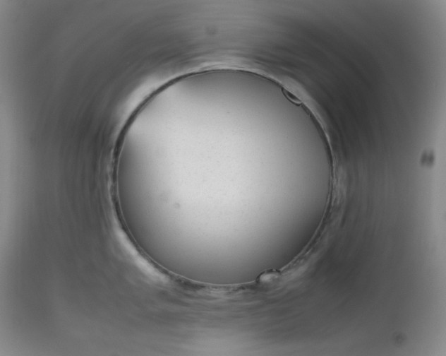 X0000112511005200908311328