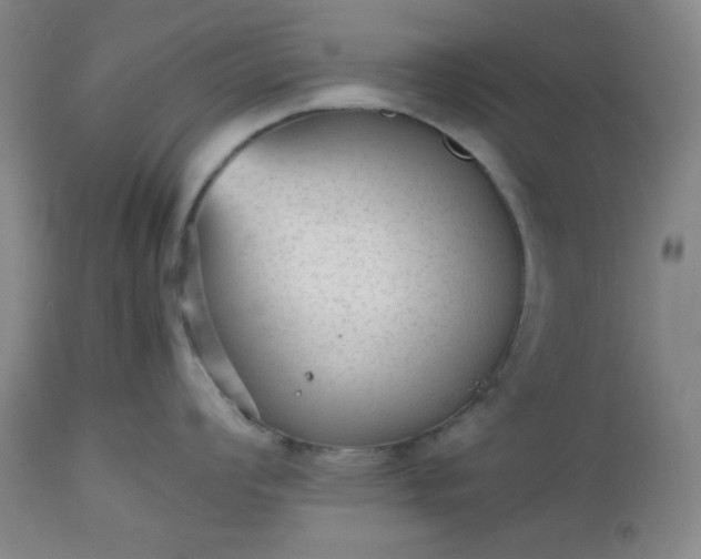 X0000112511008200908311328