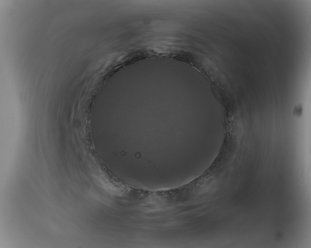 X0000112511009200908311327