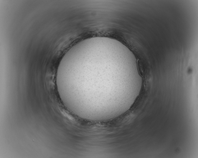 X0000112511010200908311327