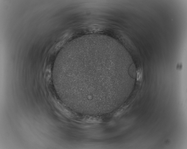 X0000112511011200908311327