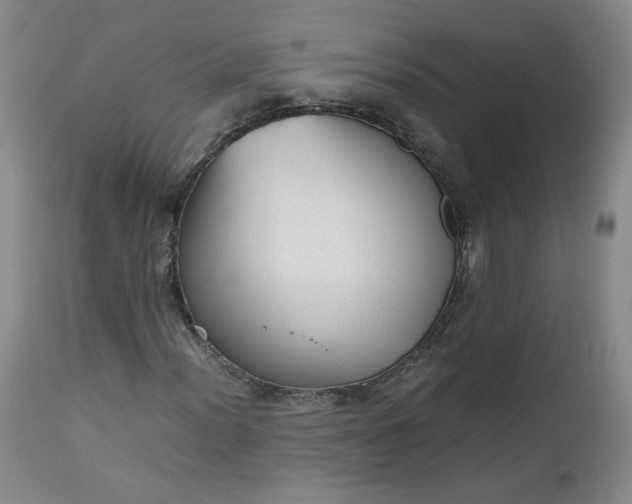 X0000112511012200908311327