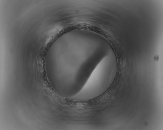 X0000112511013200908311327