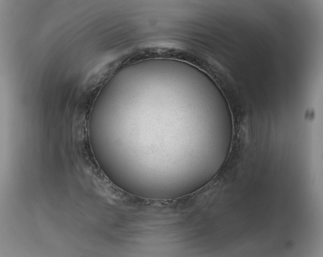 X0000112511014200908311327