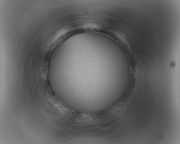 X0000112511015200908311327