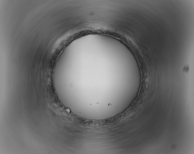 X0000112511016200908311327