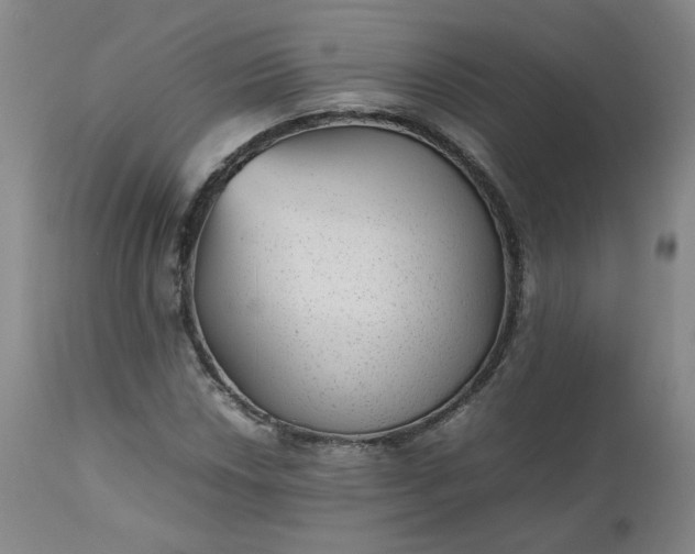 X0000112511018200908311327