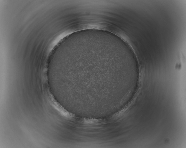 X0000112511019200908311327