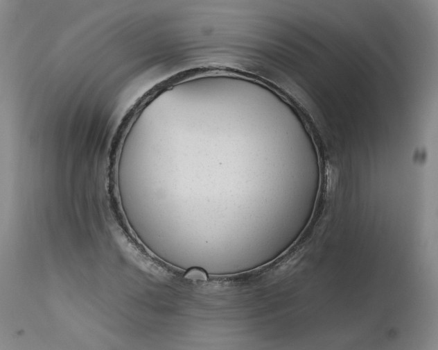 X0000112511020200908311327