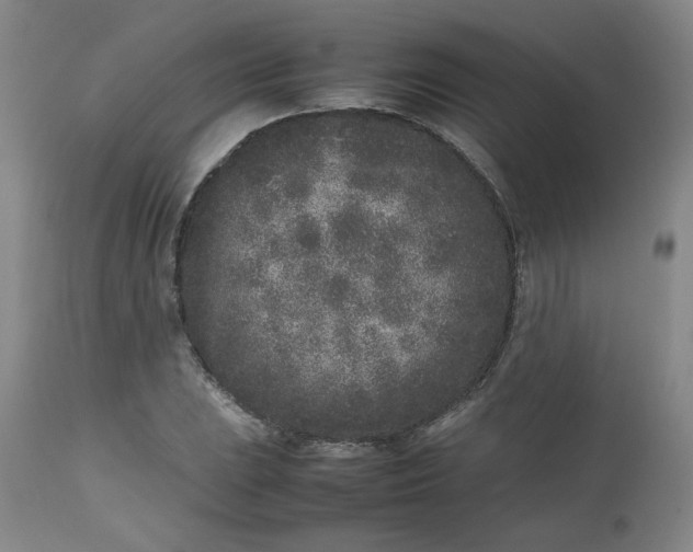 X0000112511023200908311327