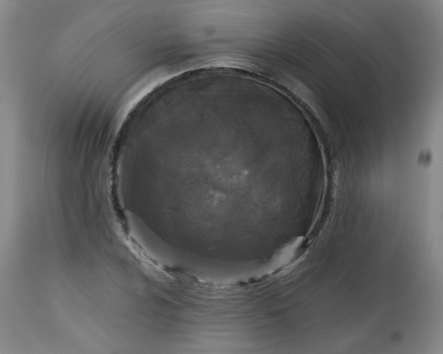 X0000112511024200908311327