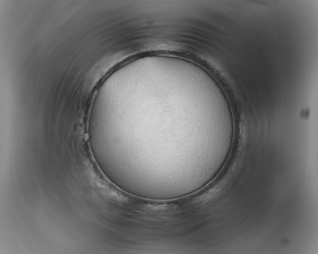 X0000112511025200908311327