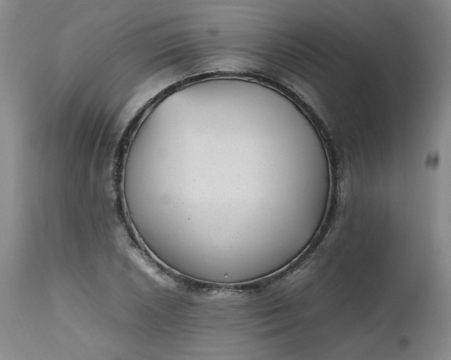 X0000112511026200908311327