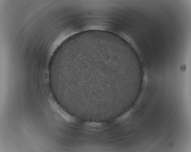 X0000112511027200908311327