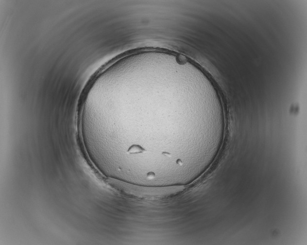 X0000112511028200908311327