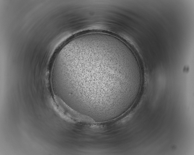 X0000112511029200908311327