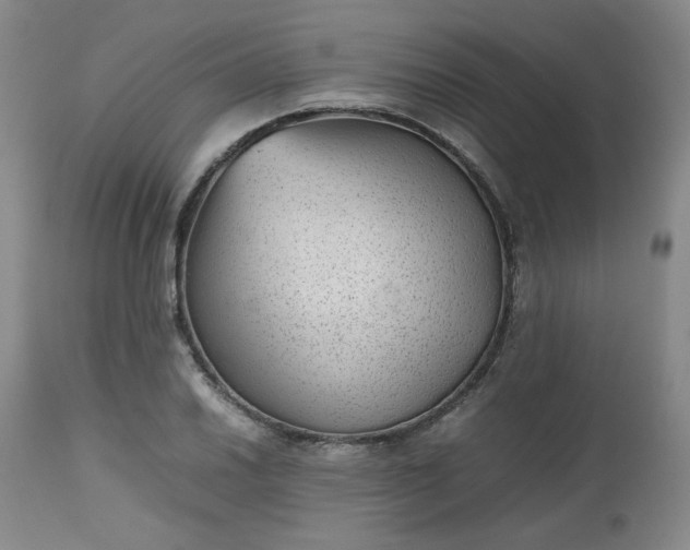 X0000112511030200908311327