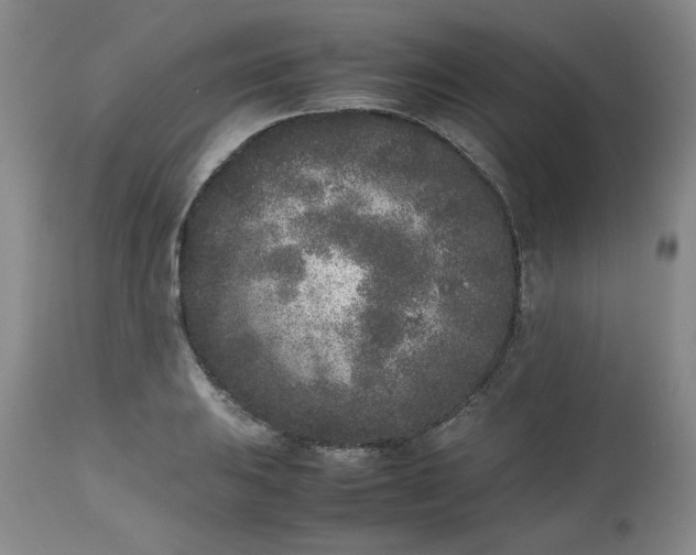 X0000112511031200908311327