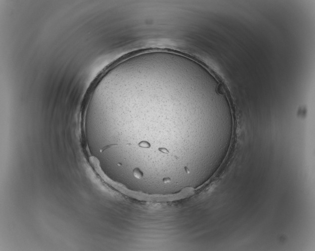 X0000112511032200908311327