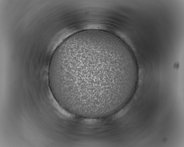 X0000112511033200908311327