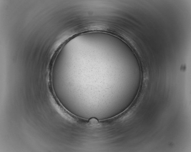 X0000112511034200908311327