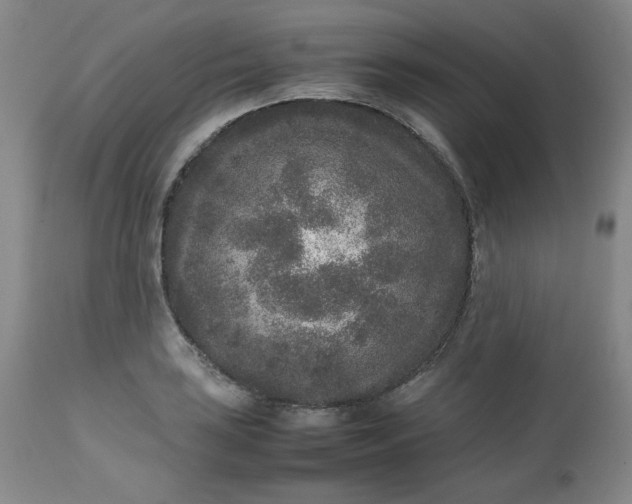 X0000112511035200908311327