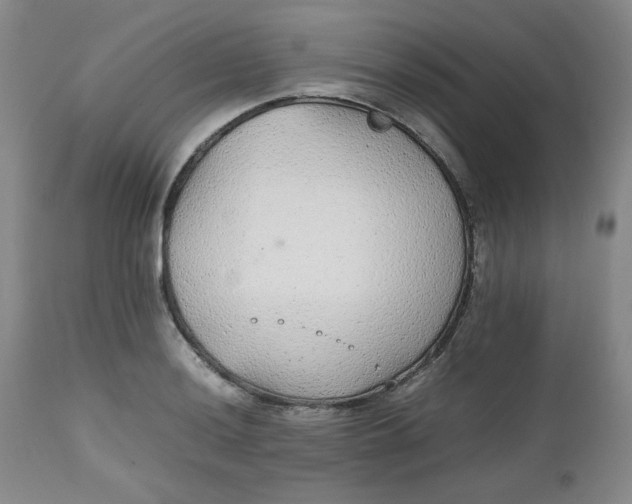 X0000112511036200908311328