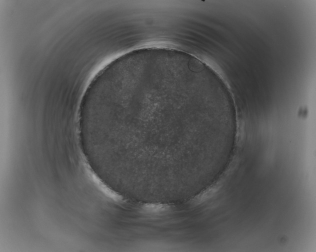 X0000112511037200908311328