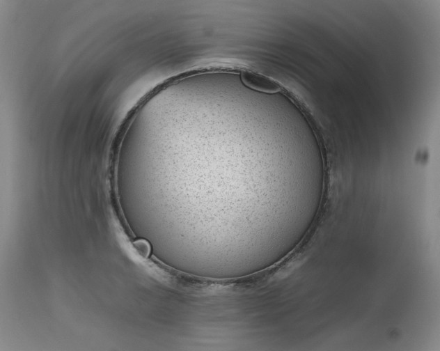 X0000112511038200908311328