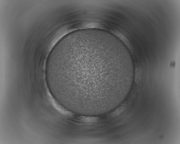 X0000112511039200908311328