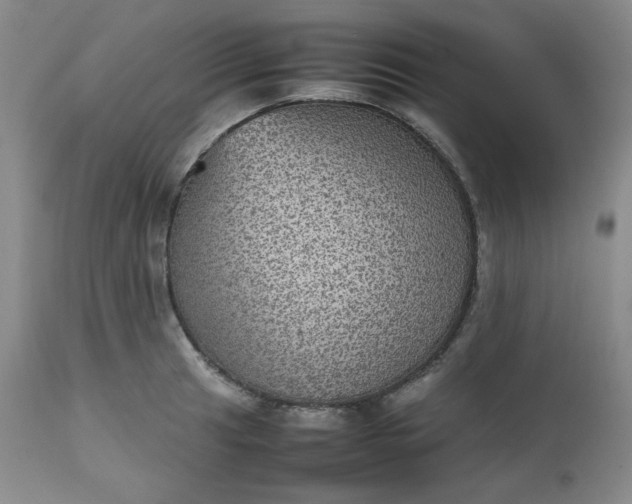 X0000112511041200908311328