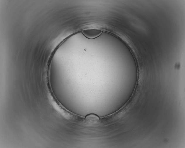 X0000112511042200908311328