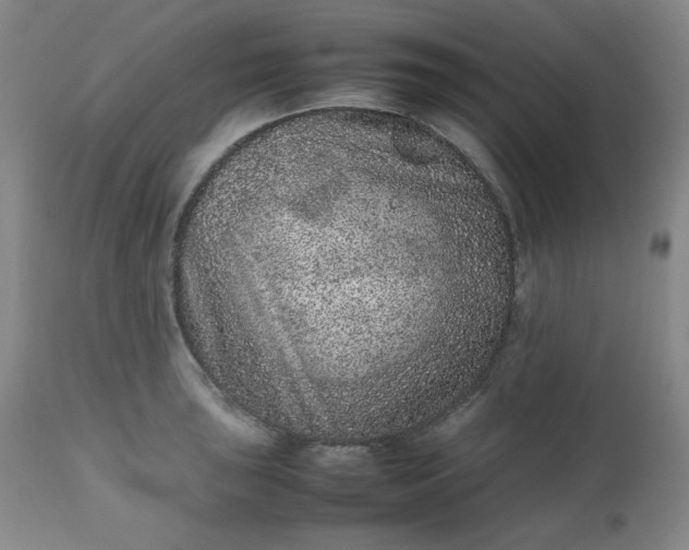 X0000112511043200908311328