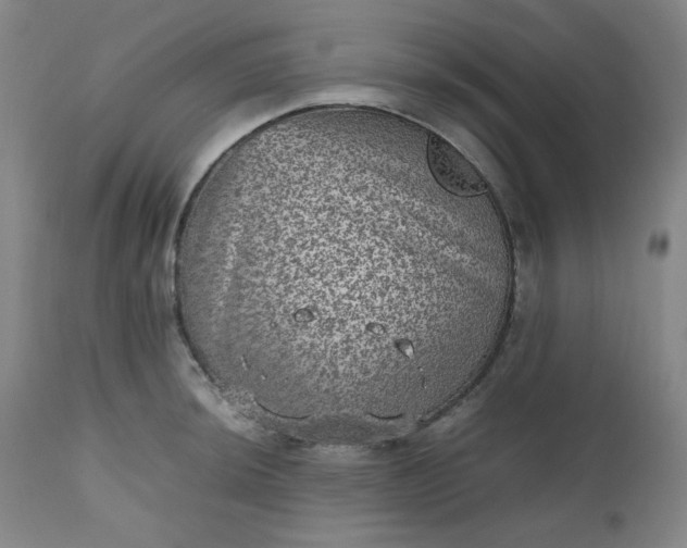 X0000112511044200908311328